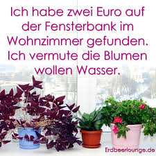 Spruch Des Tages Desired De Spruche Schone Spruche Zum Nachdenken Schone Spruche