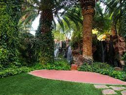 Paradise Falls Flamingo Flamingo Las Vegas Flamingo Hotel Las Vegas Paradise Falls