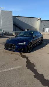 Image result for Navarra Blue 2025 S5