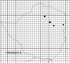 Image result for Protea welwitschii × angolensis