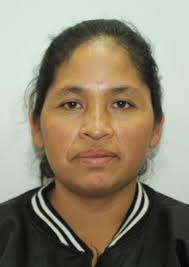 Antecedentes de Otorongos Elecciones 2022