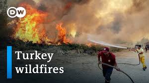 Arsonists are suspected as wildfires raging across southern turkey kill four and injure 180 more, causing the evacuation of homes and hotels in bodrum and marmaris. Yh1f2x 40nzpym