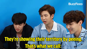 Coralwatch provides the opportunity for passionate people, who care about corals and reef conservation, to learn about coral health monitoring, data collection, reefs health and how to deliver positive messages to inspire and educate audiences about the. Bts Played With Puppies While Answering Fan Questions And Revealed Their Favorite Tracks Off Love Yourself Tear