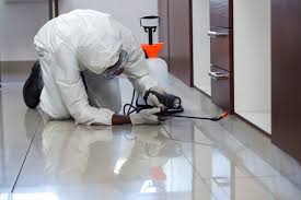 Office # 102, 1st floor, plot # 348, al satwa road, al satwa, dubailandmark: 9 Best Pest Control Services In Dubai By Top Companies Poundingtechno