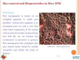 Biopesticides, a contraction of 'biological pesticides', include several types of pest management intervention: Bio Control And Biopesticides In Rice Ipm Ppt Video Online Download