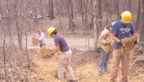 FOREST ECOLOGY AND MANAGEMENT NEWS