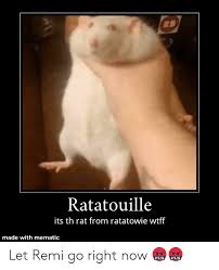Make your own images with our meme generator or animated gif maker. Ratatouille Its Th Rat From Ratatowie Wtff Made With Mematic Let Remi Go Right Now Ratatouille Meme On Me Me