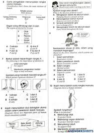 Sains tahun 4, soalan latihan sains darjah 5, soalan latihan sains tahun 2, soalan latihan matematik darjah 2, soalan latihan tahun 4 soalan sains tahun 1 (awal tahun 2017) via www.slideshare.net. Unit 2 Manusia Exercise