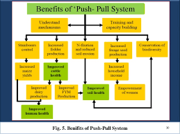 Though ipm was developed first for the agricultural you may find it helpful to require the use of specific monitoring forms for consistency. Push Pull Strategy