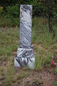 Arminta Minty I Massingill I Kerley Ancestrycom Tree Tree Trunk