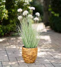 Maybe you would like to learn more about one of these? Indoor Outdoor Faux Sea Grass Potted Plant Plowhearth