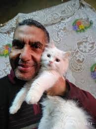 White Cookie and Gypsy when they were little 😻😻 #lucy #cat