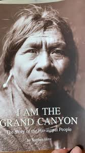 Book Recommendation: Brave the Wild River by Melissa L. Sevigny