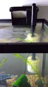 Diy Hob Sponge Filter Diy Aquarium Filter Diy Aquarium Aquarium Filter