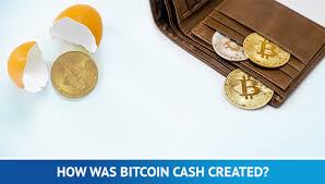 Mining is the process in which new bitcoin cash transactions are confirmed and new blocks. Bitcoin Cash To The Moon In 2019 Trading Education