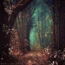These free backgrounds will surely come in handy when you want to design a website template, business card, flyer, poster, collage, presentation, postcard, banner, etc. Free Digital Backgrounds For Photoshop Google Search Nature Photography Nature Photography Forest Landscape Forest