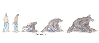 Альбом white werewolf tavern — 3d saloon golden bolter — 124 фотографии. Wolf Man 24 Transformation Sequence By Kigai Holt On Deviantart Character Art Tf Art Furry Deviantart