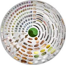 High-resolution silkworm pan-genome provides genetic insights into  artificial selection and ecological adaptation