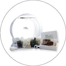 Pet jellyfish is one of the only uk suppliers of moon jellies, making them a valuable supplier for any european owners of jellyfish tanks. Moon Jellyfish Care Guide
