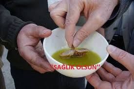 Oksuruk Olanlarin Dikkatine Astim Alerjik Astim Saf Zeytinyaginda Bir Gun Bekletilmis Kuru Incirden Sabahlari Bitkisel Tarifler Dogal Saglik Saglikli Yasam