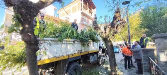 Δήμος Γρεβενών: Εργασίες κλάδευσης στην οδό Μεγάλου Αλεξάνδρου την Πέμπτη 13/11.