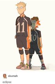 Pin By Brie On Haikyuu Haikyuu Characters Haikyuu Funny Haikyuu Meme
