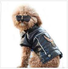 Petit Chien Jaquetas Harley Davidson Pet Clothes Dog Winter Coat Waterproof Motorcycle Jacket