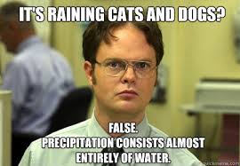 These Are The Best The Office Memes Time The office, tv, tv show, quote, quotes, funny, funny, joke, sarcasm, humor, michael scott, meme, memes, peace, pack, hydro, teenage, girls, trendy office, the office, the office quotes, the offices, quotes from the office, beets, bears, dwight, dwight schrute, battlestar galactica, jim halpert quotes. these are the best the office memes