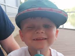 Fundraiser for Toni Day by Teri Crane : Brave Little Oliver