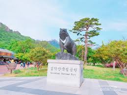 More images for gambar pemandangan indah di korea selatan » Pemandangan Cantik Ini Punya Korea Selatan