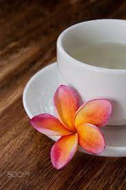 Tropical Plumeria Green Chinese Tea