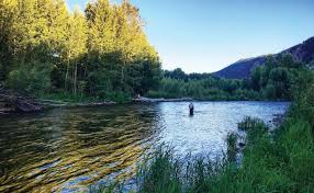 Get free shipping on $49+. Fishing Report Silver Creek By Silver Creek Outfitters Fly Dreamers
