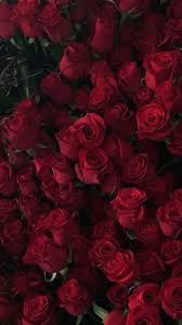 Maybe you would like to learn more about one of these? Pin By Carlota On Phone Wallpapers Maroon Aesthetic Red Roses Burgundy Aesthetic
