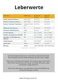 Leberwerte Verstehen Bedeutung Und Interpretation