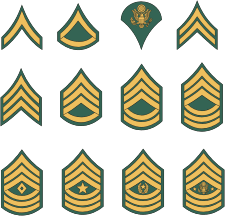 U S Army Enlisted Rank Insignia Vector Image Military