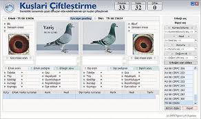 Pigeon Loft Organizer Posta Guvercin Pedigresi Yazilim Kus Resimleri