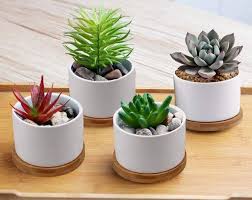 Set Of 4 Succulent Planters With Drainage Pots For Plants Etsy In 2020 Succulent Pots Mini Plant Pots Succulent Planter