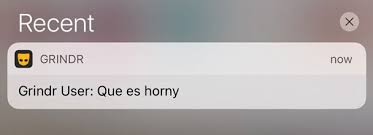 The controversial function allowed paying users to filter out prospective partners based on ethnicity labels such as asian, black and latino. Gay App Review Is Grindr Xtra Worth The Cost