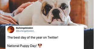 Get ready to celebrate one of the cutest holidays of the year, because national puppy day is on tuesday, march 23. These National Puppy Day 2021 Tweets Are A Collection Of The Cutest Photos Videos
