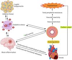 Image result for Platelet Dysfunction