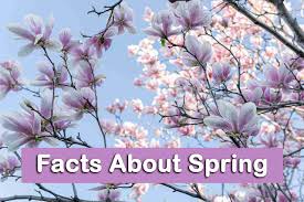 Think you know a lot about halloween? 10 Facts About Spring Topessaywriter