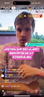 Discover Jostein Sørum's Viral Clout