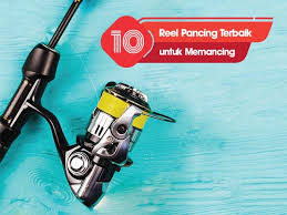 Tidak baik untuk membuat sumur. 10 Rekomendasi Reel Pancing Terbaik Untuk Memancing Cektarif Com