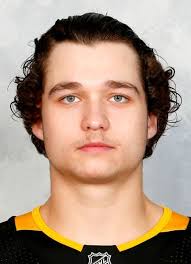 Calen Addison Hockey Stats and Profile at hockeydb.com