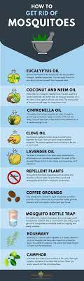 How To Get Rid Of Mosquitoes Mosquito Home Remedies Natural Bug Repellent