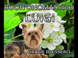 Buon Onomastico Luigi 12 Marzo 2019 Ti Auguro Il Meglio Di Tutto Auguri Buon Onomastico Onomastico Luigi