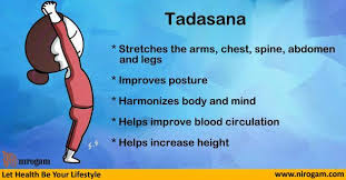 Benefits Of Tadasana Nirogam Blog Yoga Positions For Beginners Yoga Training Improve Posture