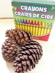 Add one cup of your chosen additive (do not mix additives). Diy Pine Cone Fire Starters