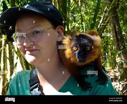 Woman with lemur hi-res stock photography and images