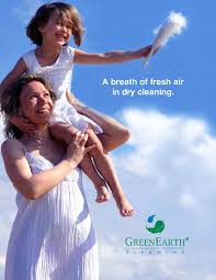 147 danada square e wheaton, il 60189 · business location. Greenearth Cleaning Information Booklet P By Greenearth Cleaning Issuu